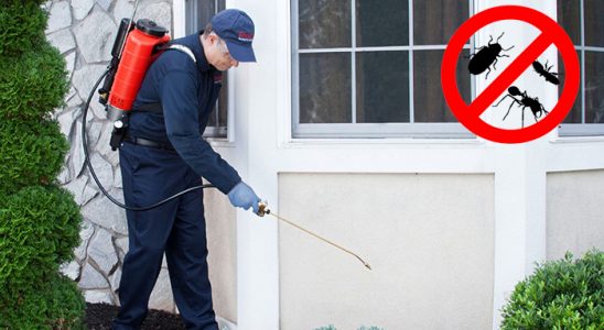 Melikgazi Tahtakurusu İlaçlama böcek ilaçlama ve haşere kontrolü — ilaclama-tr.com